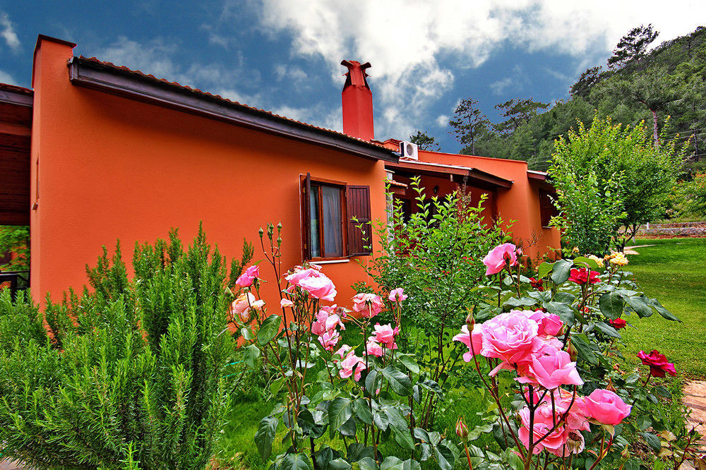 Dalya Life Hotel Gocek  Exterior photo